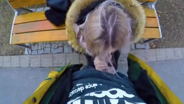 Public-Pickup-Porno: Heiße Frau für Geld im Park gefickt